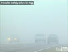 How to safely drive in fog